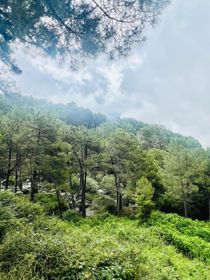 Villa El Latido Del Tietar Lanzahita Esterno foto